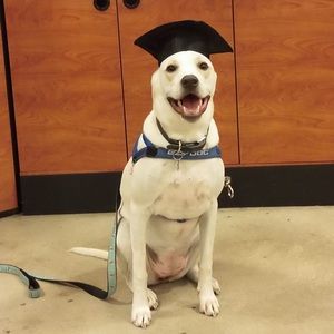 Meet your Posher, Carrie